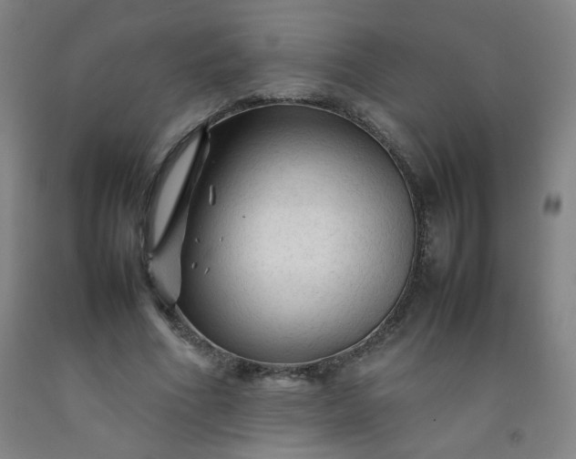 X0000092210586200709281025