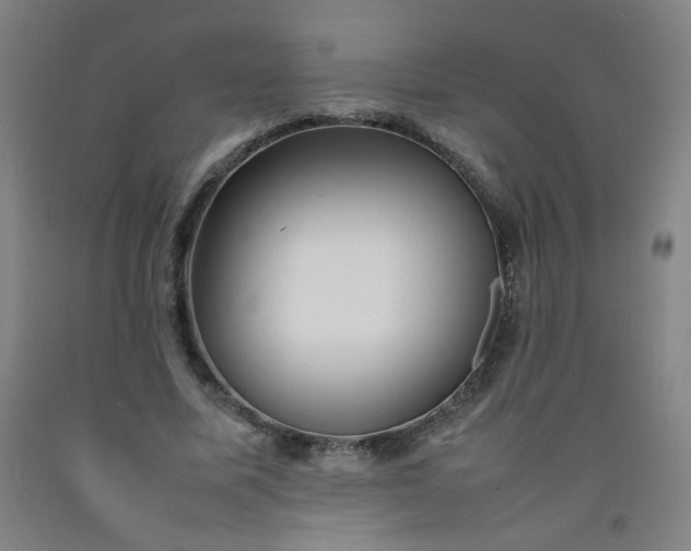 X0000092210587200709281025