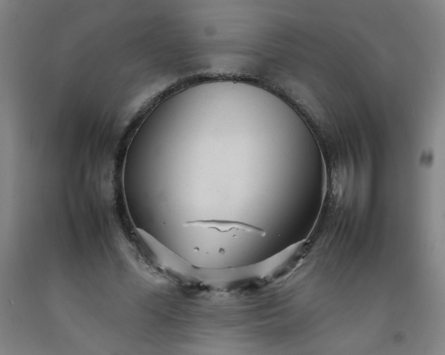 X0000092210588200709281025