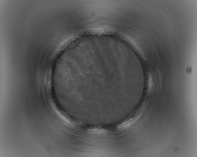 X0000092210590200709281025