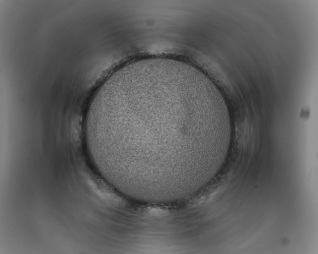 X0000092210592200709281025