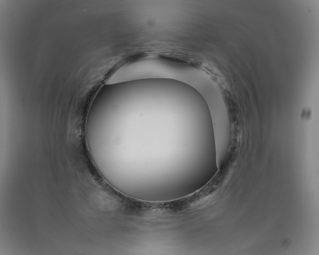 X0000092210593200709281025