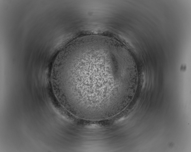 X0000092210594200709281025