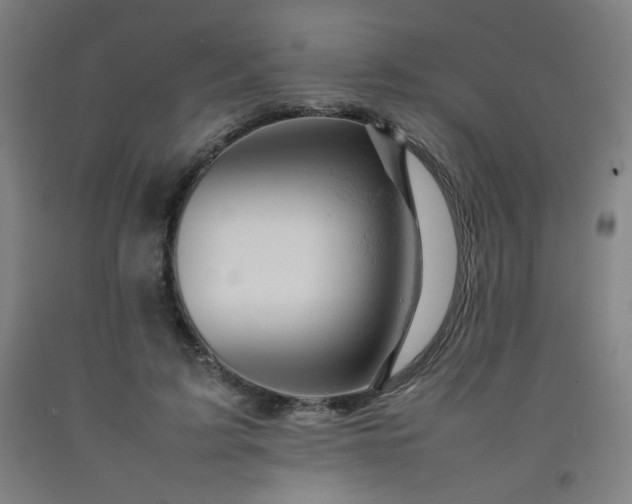 X0000092210595200709281025