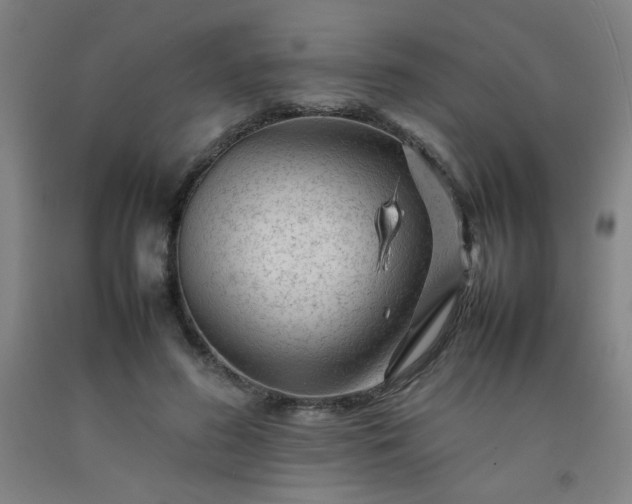 X0000092210596200709281025