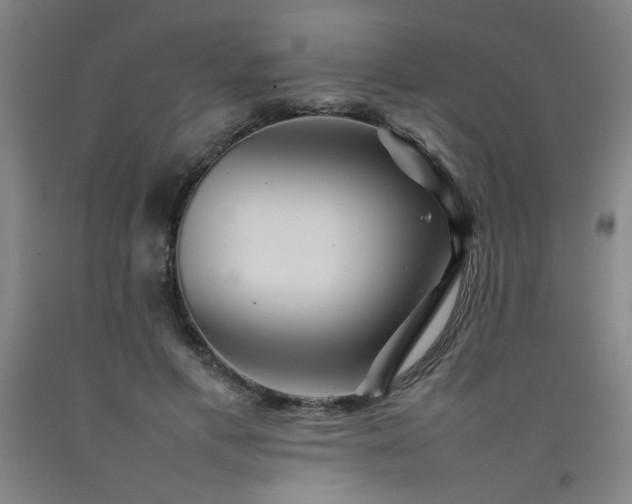 X0000092210597200709281025