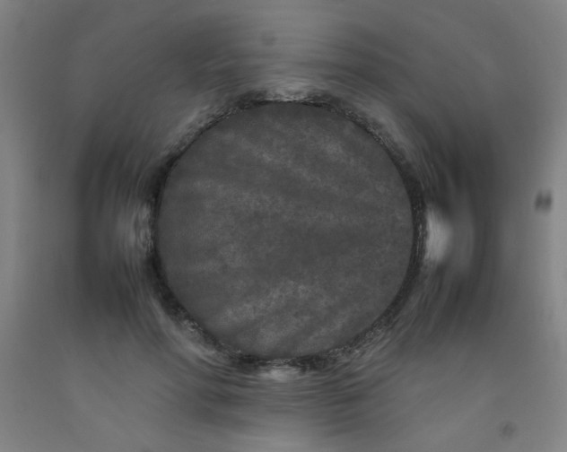 X0000092210598200709281025