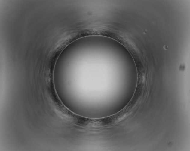 X0000092210599200709281025