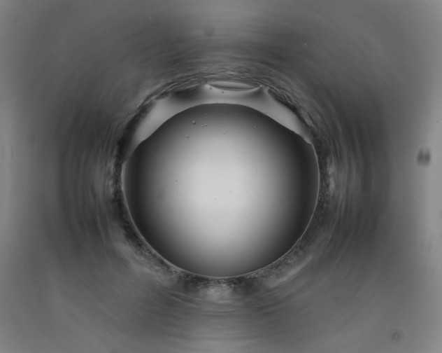 X0000092210600200709281025