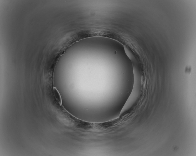 X0000092210601200709281025