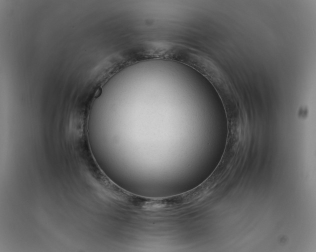 X0000092210602200709281025