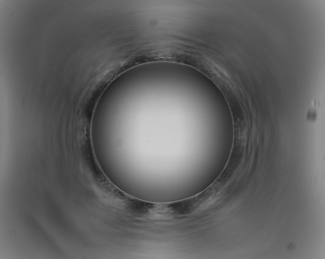 X0000092210603200709281025