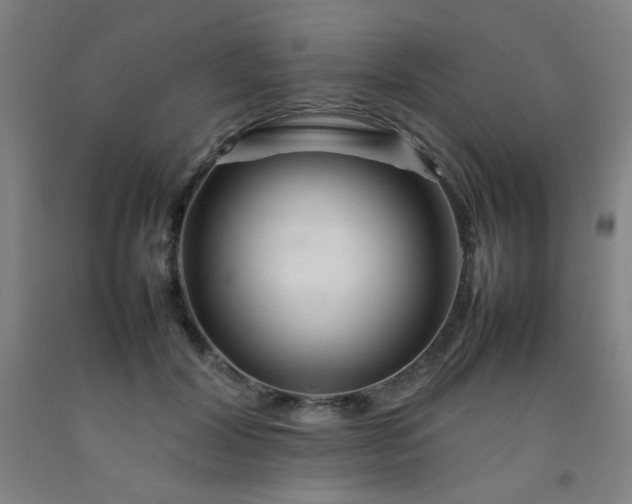 X0000092210604200709281025