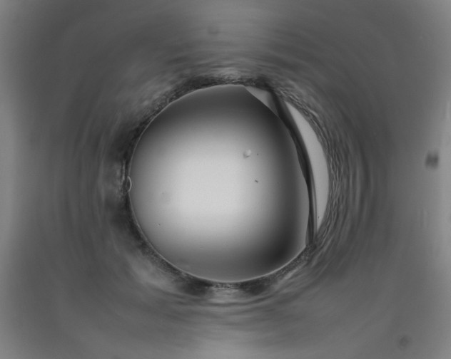 X0000092210605200709281025