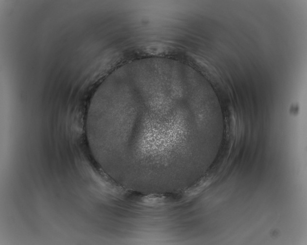 X0000092210606200709281025