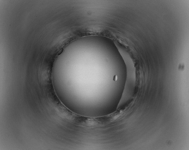 X0000092210608200709281025