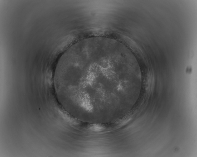 X0000092210610200709281025