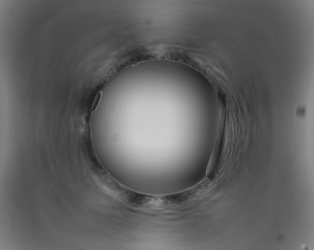 X0000092210611200709281025