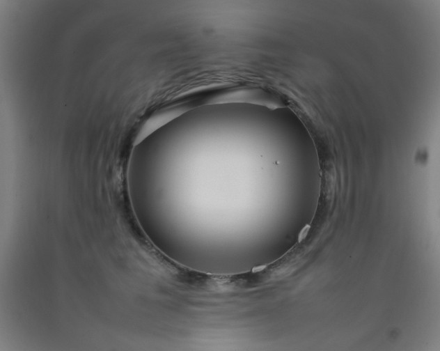 X0000092210613200709281025