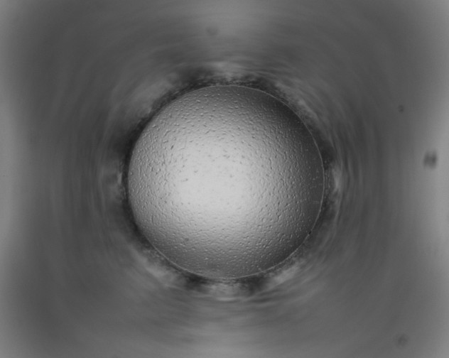 X0000092210615200709281024