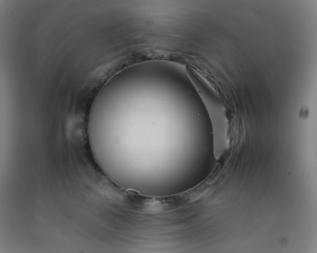 X0000092210616200709281024