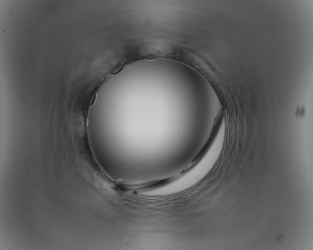 X0000092210617200709281024