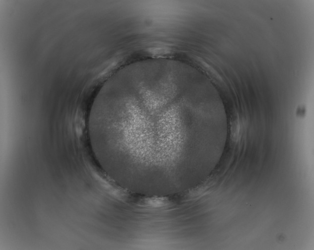 X0000092210618200709281024