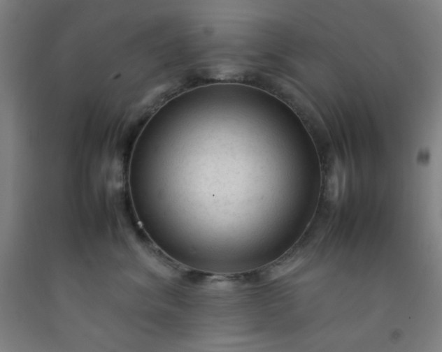 X0000092210620200709281024