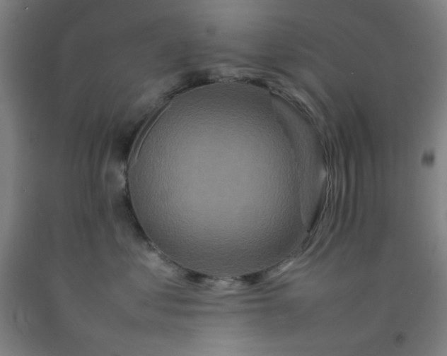 X0000092210621200709281024