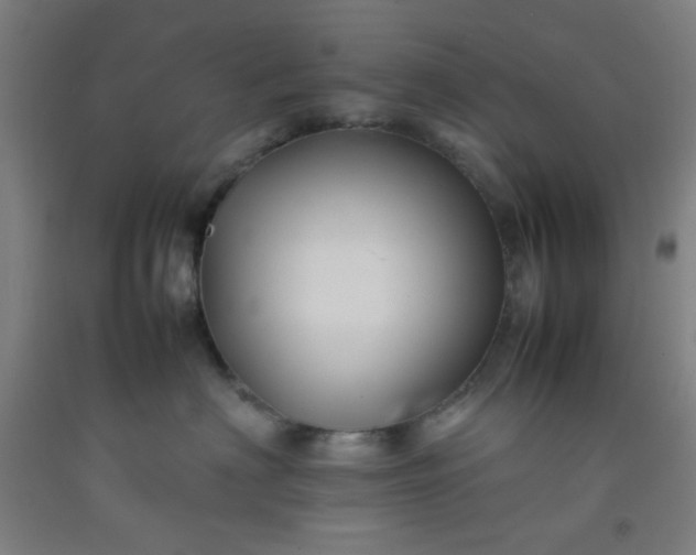 X0000092210622200709281024