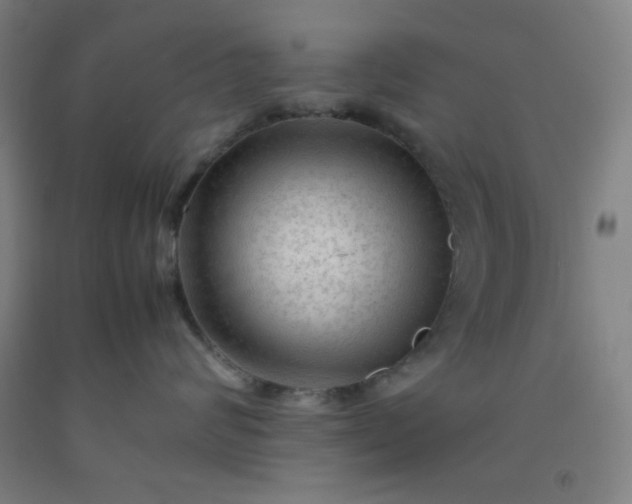 X0000092210624200709281024