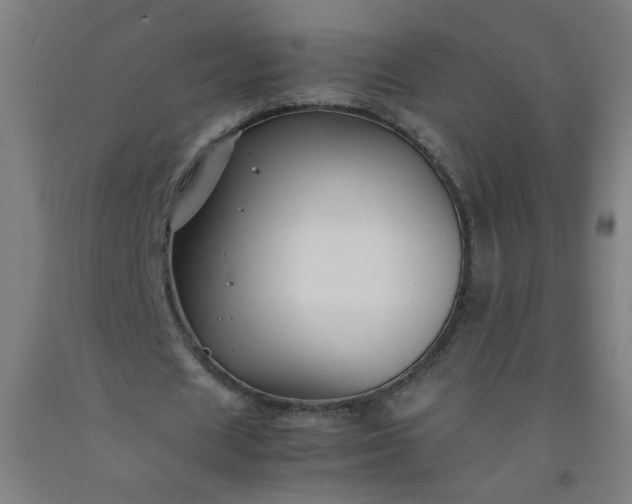 X0000092210625200709281023