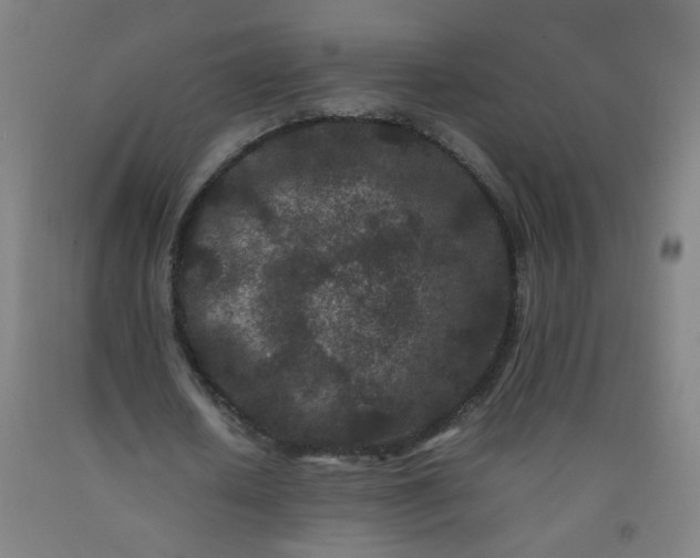 X0000092210626200709281023