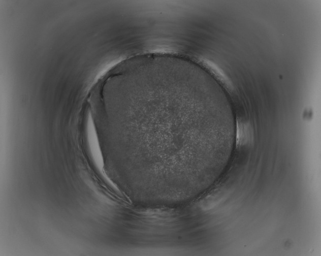 X0000092210627200709281023