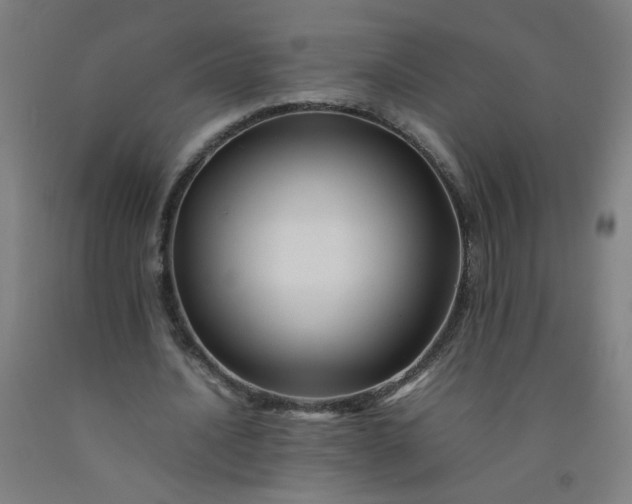 X0000092210628200709281023