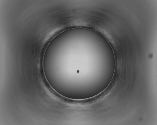 X0000092210629200709281023