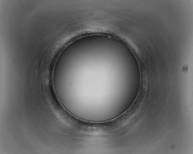 X0000092210631200709281023