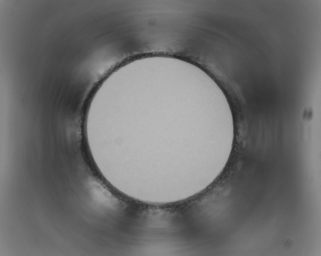 X0000092210632200709281024