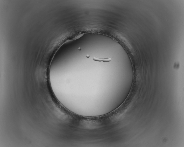 X0000092210633200709281024