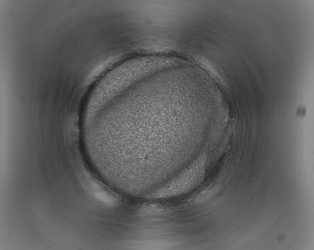 X0000092210634200709281024