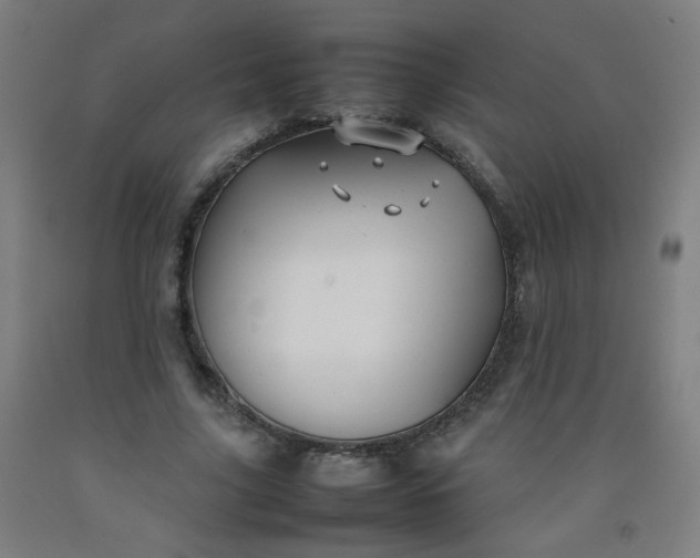 X0000092210635200709281024