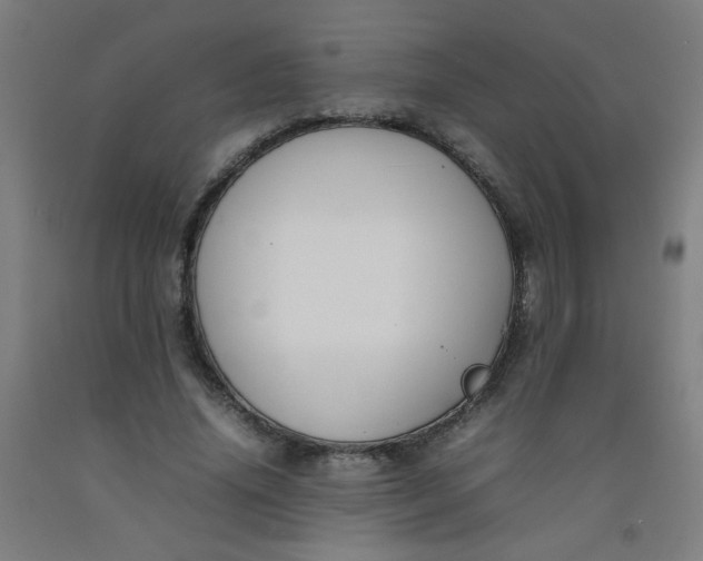 X0000092210636200709281024