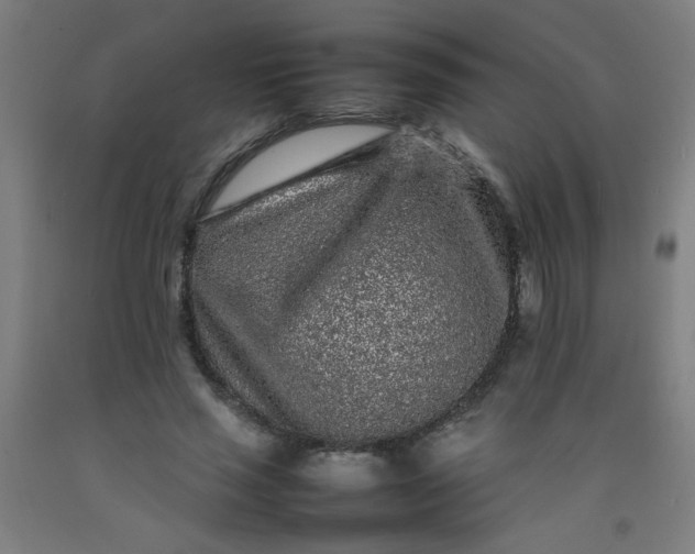 X0000092210637200709281024