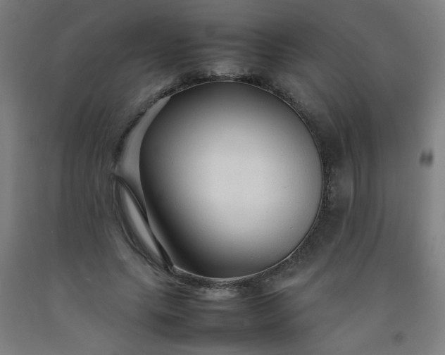 X0000092210639200709281024