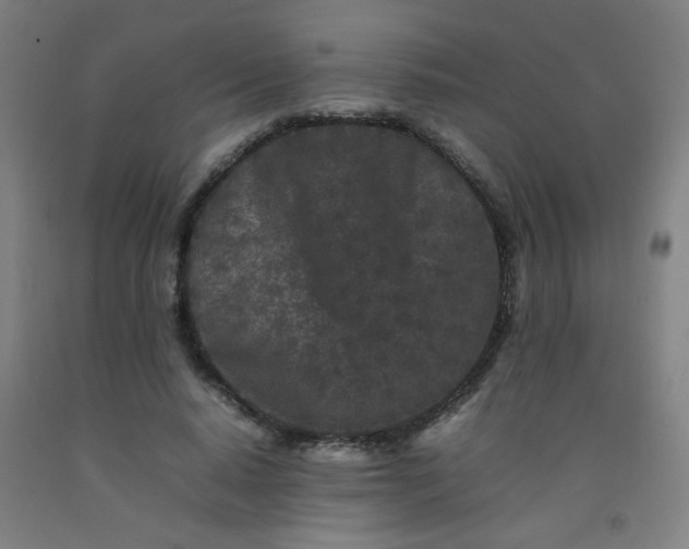 X0000092210640200709281024