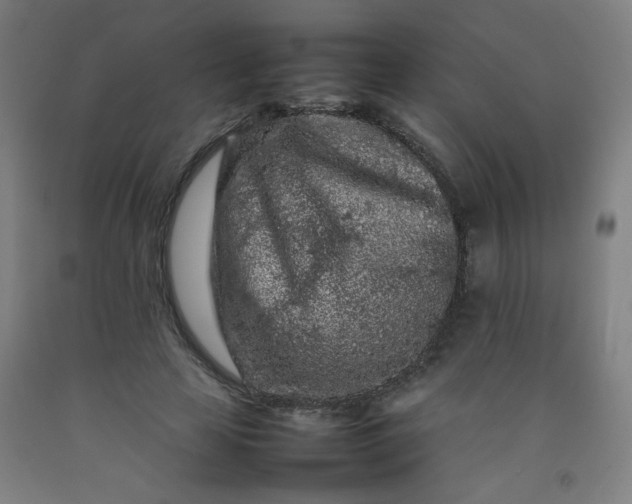 X0000092210641200709281024