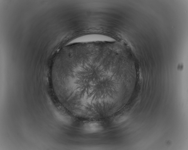 X0000092210643200709281024