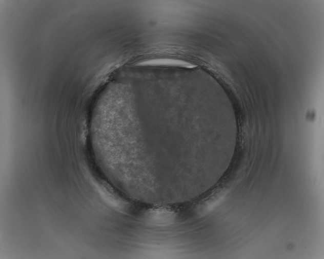 X0000092210644200709281024