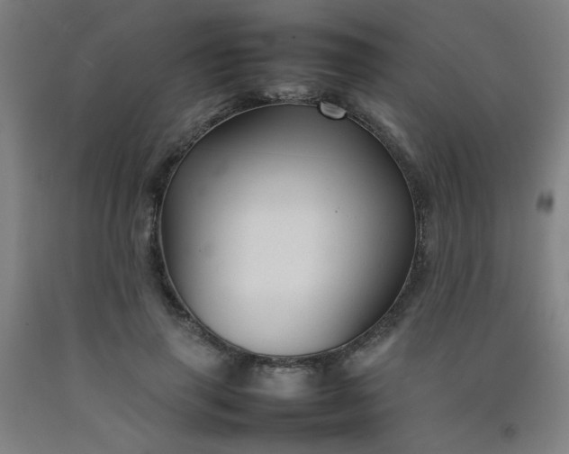 X0000092210645200709281024