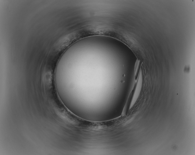 X0000092210646200709281024